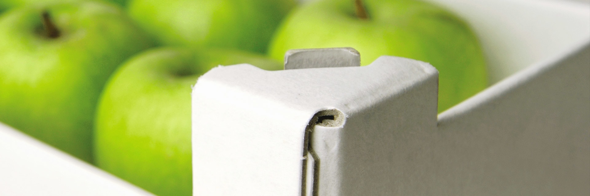 Case & carton sealing